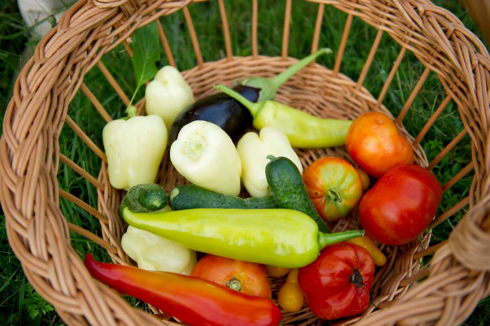 "Gradinita de acasa". Traian Basescu a postat fotografii pe Facebook din gradina sa de legume