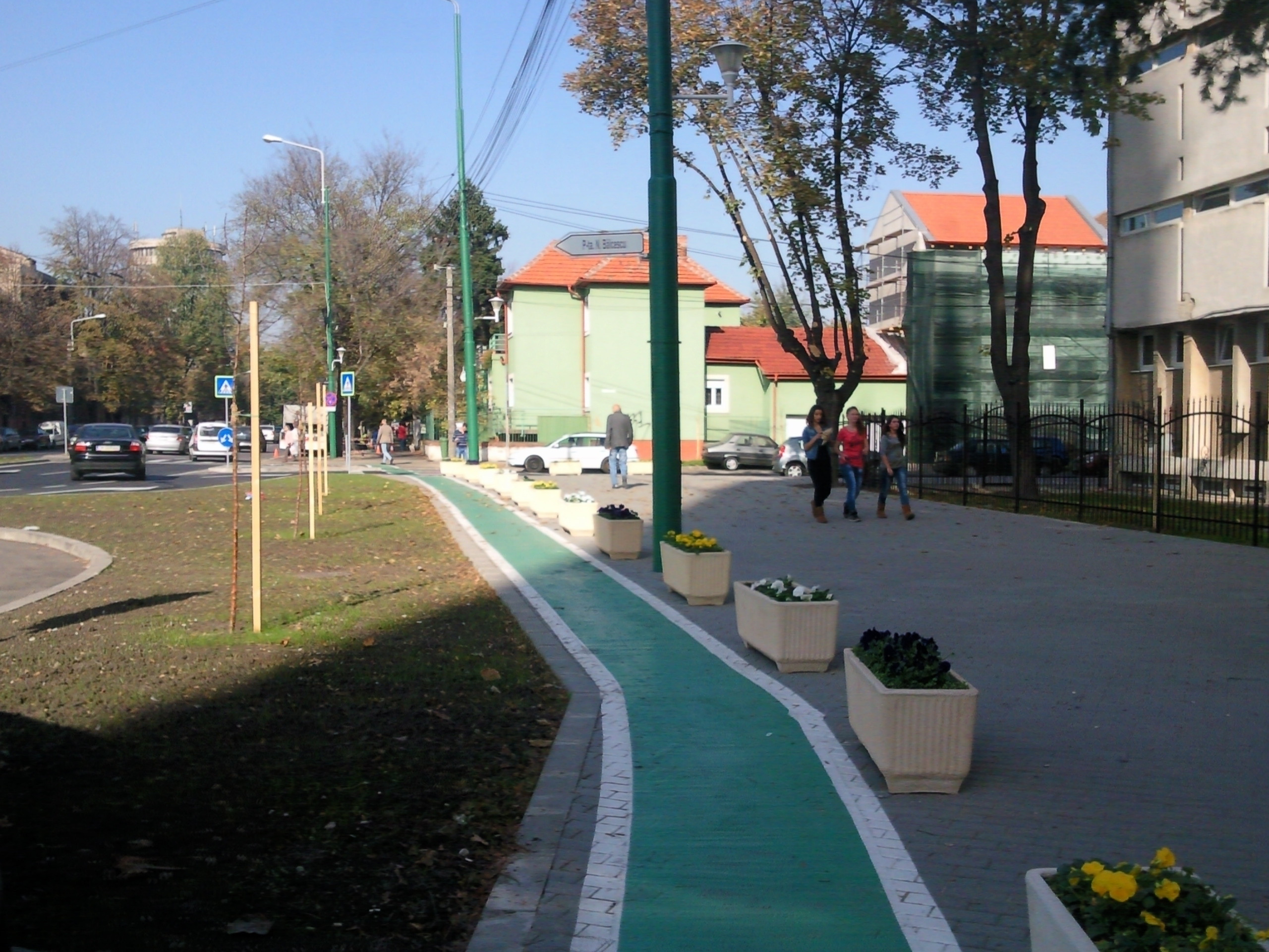 Robu vrea sa isi spele pacatele dupa ce a taiat copacii din Balcescu. Cati arbori vrea sa planteze