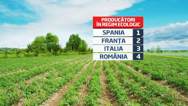 100 mil EUR pentru cei care vor sa cultive bio in Romania, a patra tara pe harta ecologica a Europei