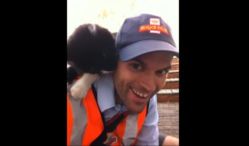 Momentul care iti face ziua mai buna. O pisica se imprieteneste cu forta cu un postas. VIDEO