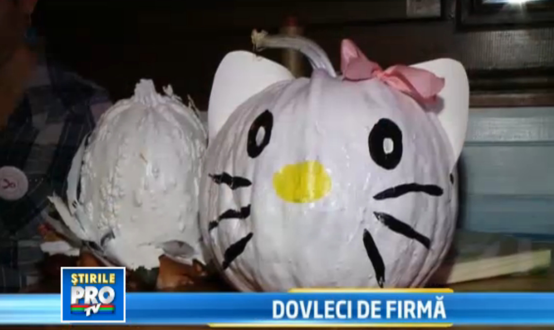 Dovleci Coco Channel si Hello Kitty au fost scosi la licitatie pentru o cauza nobila. VIDEO