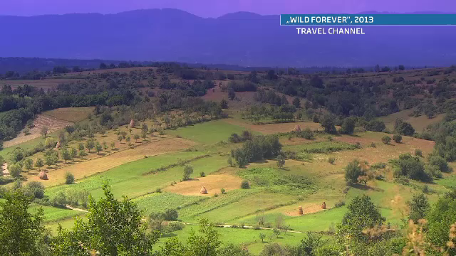 Printul Charles: "Poate lumea nu vede asta, dar Romania este o tara minunata, cu oameni remarcabili"