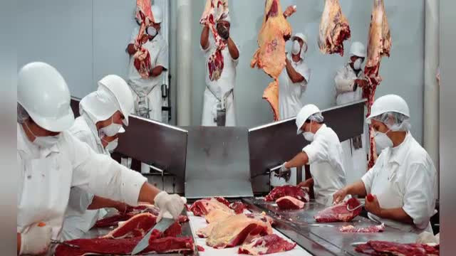 Englezii arata din nou cu degetul spre Romania. Urme de carne de cal ar fi fost gasite in conserve