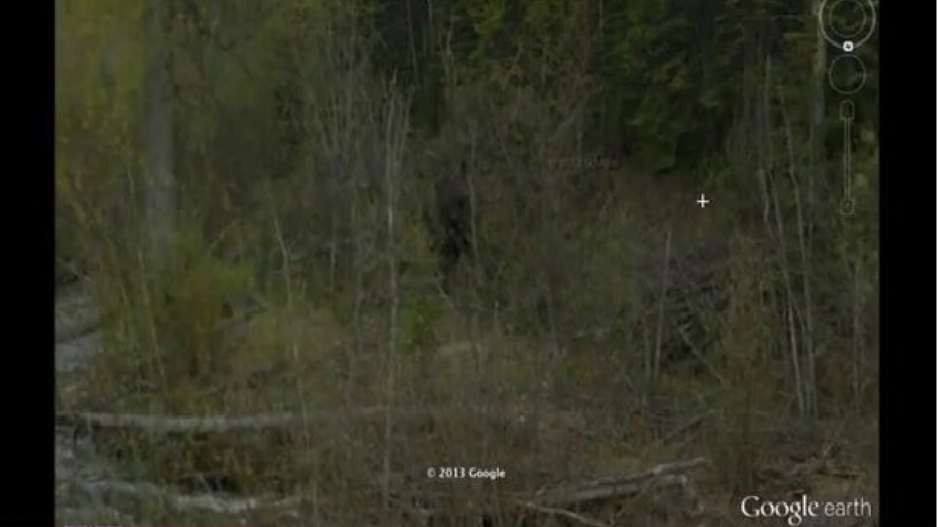 Creatura legendara surprinsa pe Google Earth. "V-am spus eu ca exista cu adevarat". VIDEO