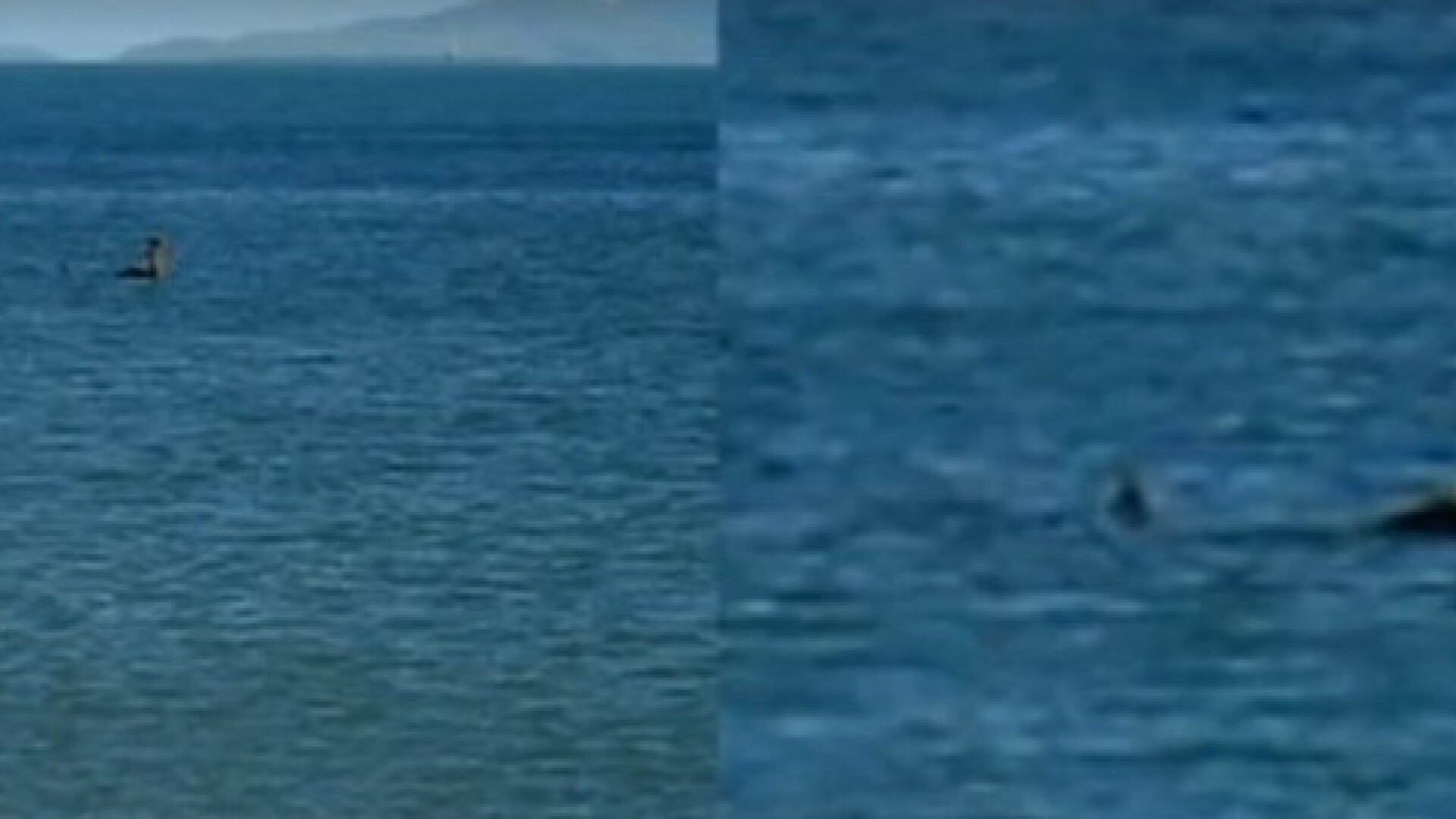 Monstrul din Loch Ness ar fi fost zarit in Australia. "Avea cam patru metri, m-am speriat"