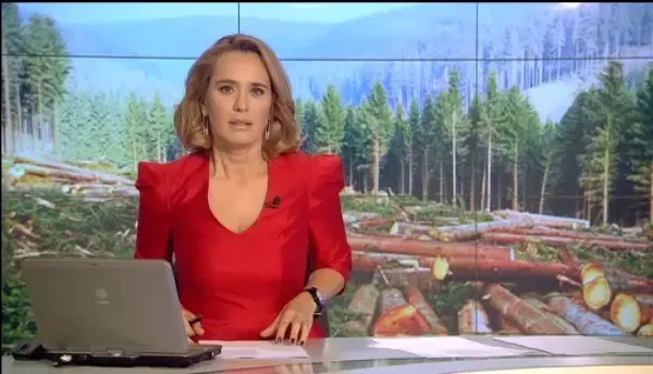 Harta unui jaf urias. Cum a sesizat ministrul Apelor si Padurilor disparitia a peste 2500 de hectare de copaci din Arges