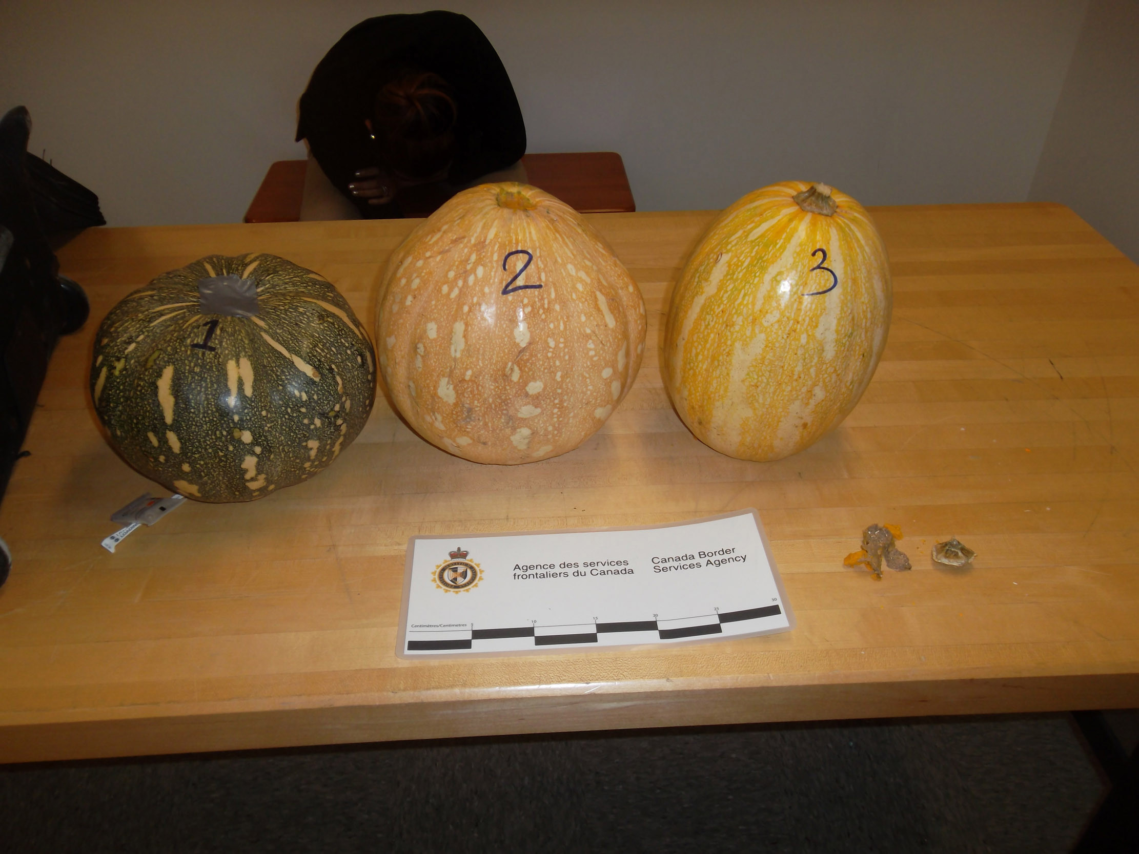 Ce au descoperit politistii din Canada in dovlecii de Halloween