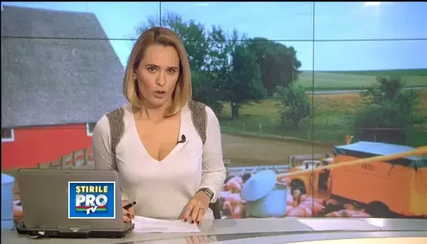 Ce contine carnea de porc vietnamez, recomandata de nutritionistii romani pentru acest Craciun