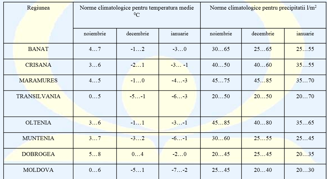 ninsoare