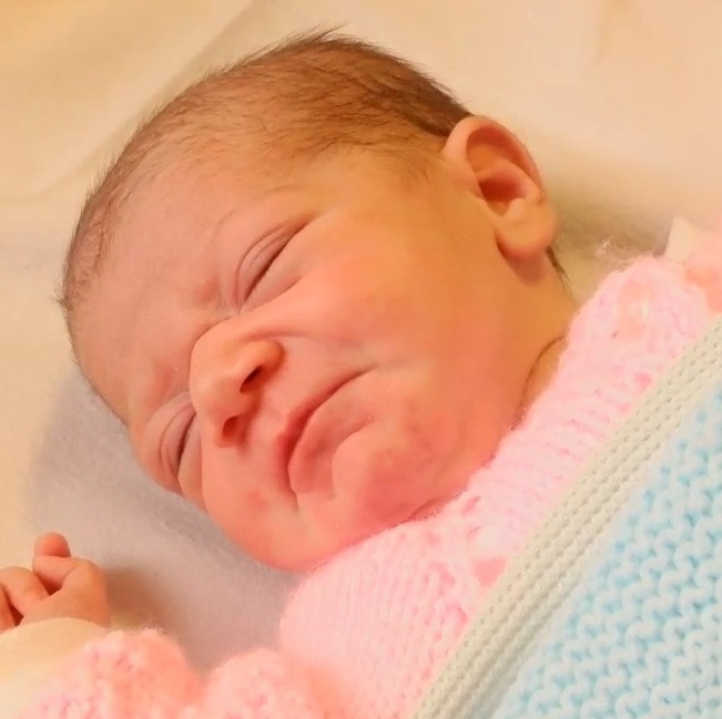 Un ciobanesc german a salvat viata unui copil din Marea Britanie pe care l-a gasit in parc