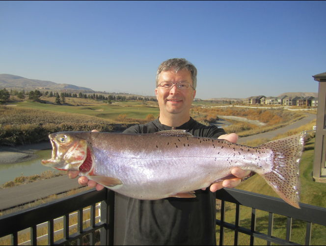 Ce a gasit un pescar din SUA in burta unui pastrav. "Nu mi-am putut imagina ca este posibil"