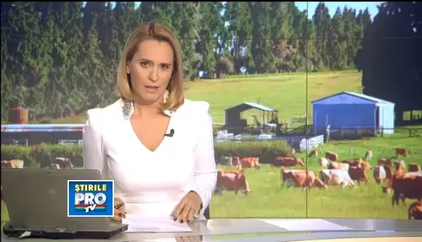 Au mizat pe agricultura romaneasca si pe modele din Europa.Povestea de succes a unor tineri fermieri