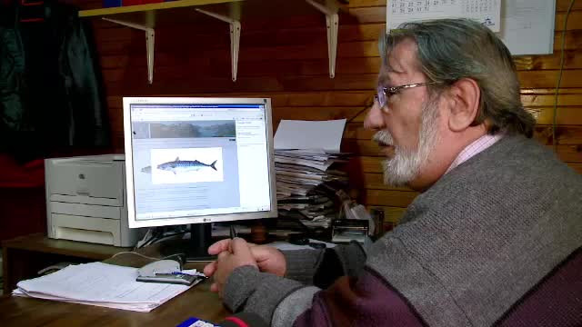 "Marea Neagra nu mai este moarta". Specii de pesti disparute de zeci de ani populeaza din nou apele