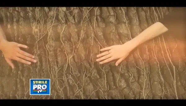 Concertul ONE se apropie cu pasi repezi. Albumul Aprinde un vis, lansat alaturi de fanii din Cluj