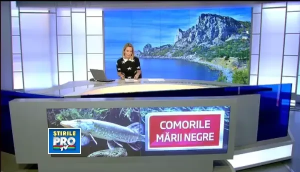 Marea Neagra nu mai este moarta. Specii de pesti disparute de zeci de ani populeaza din nou apele