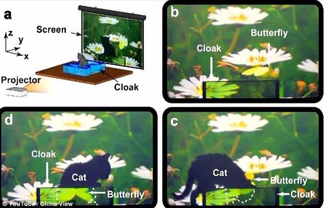 Cercetatorii chinezi au inventat "pelerina invizibila", care poate face orice obiect sa dispara