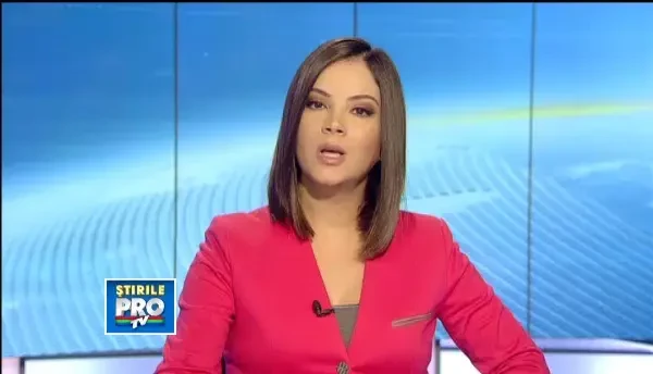 O turma de mistreti s-a ratacit prin Cluj. Trei femele si noua pui s-au instalat in Parcul Rozelor