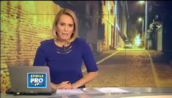 Comandament de urgenta in Cluj. Trei femele cu 9 pui de mistret s-au ratacit la marginea orasului