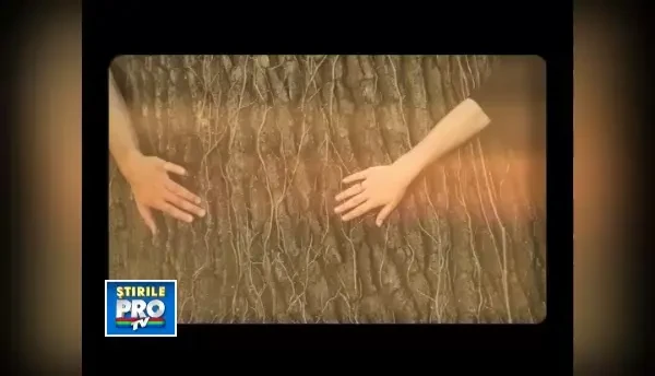 (P) Trupa ONE ajunge la Timisoara pentru lansarea albumului “Aprinde un vis”