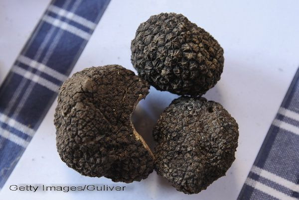 Diamantele pamantului sau cum faci profit de mii de euro cu o investitie minora