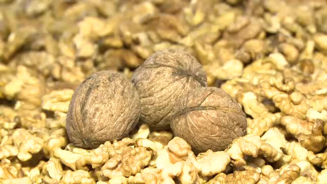 Au mizat pe nucul romanesc si au tras lozul castigator. Ce se intampla cu soiurile de import