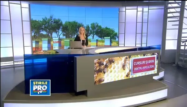 Mierea, o afacere extrem de profitabila in Romania. Viitorii apicultori pot lua cursuri