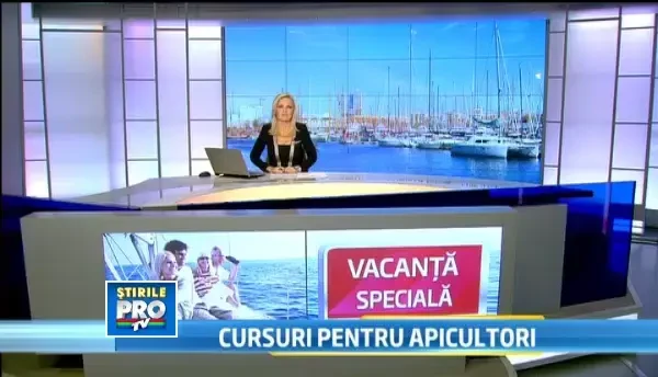 Oferte avantajoase pentru cei care vor sa isi inchirieze un iaht. Pana la cat ajung reducerile