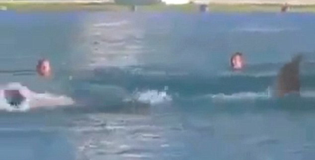 Gluma hilara care l-a facut pe un barbat din California sa inoate disperat catre tarm. VIDEO