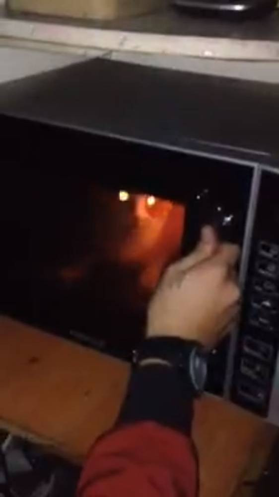 Barbat filmat in timp ce-si "prajea" pisica la microunde. Reactia provocata de gestul sau