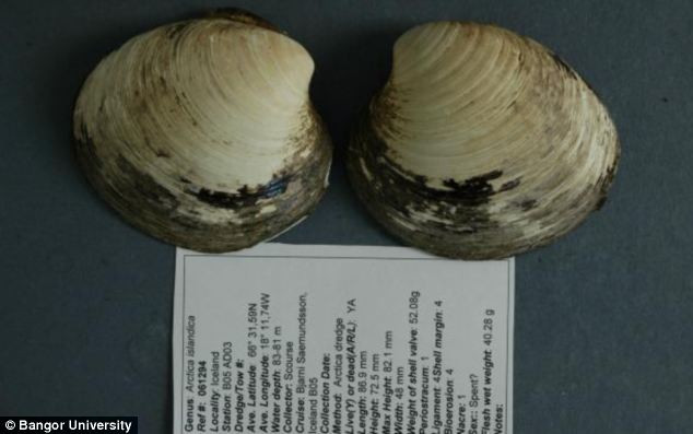 Cercetatorii britanici se apara dupa ce au ucis-o pe Ming, cea mai batrana creatura din lume