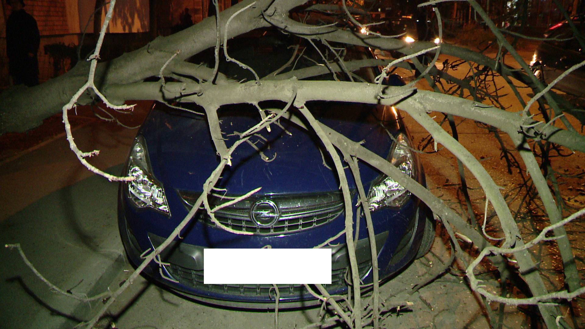 Pompierii din Timisoara au intervenit miercuri seara pentru a indeparta un pom cazut peste o masina