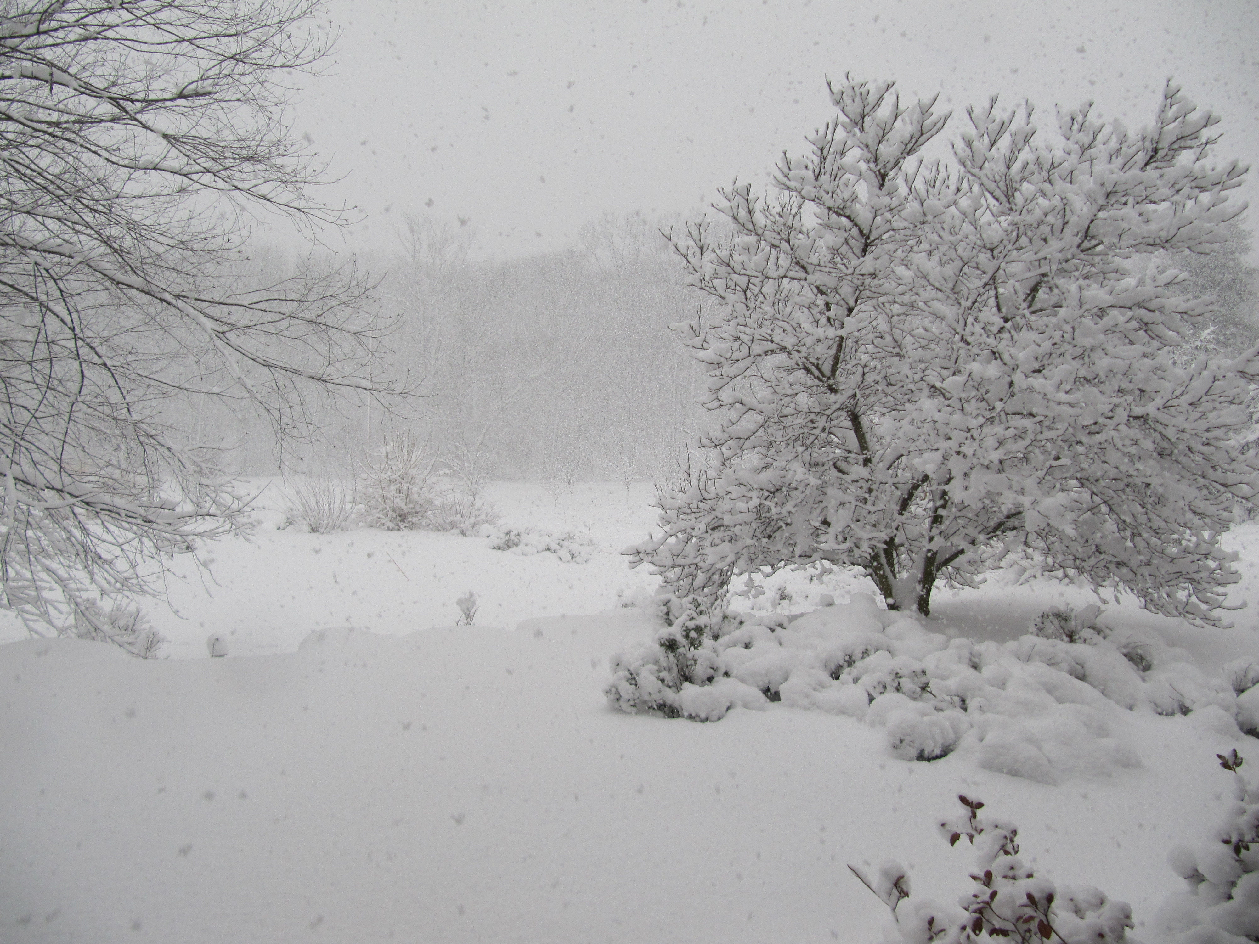 ANUNT BOMBA facut de meteorologi! Care sunt zonele din Romania unde astazi va NINGE
