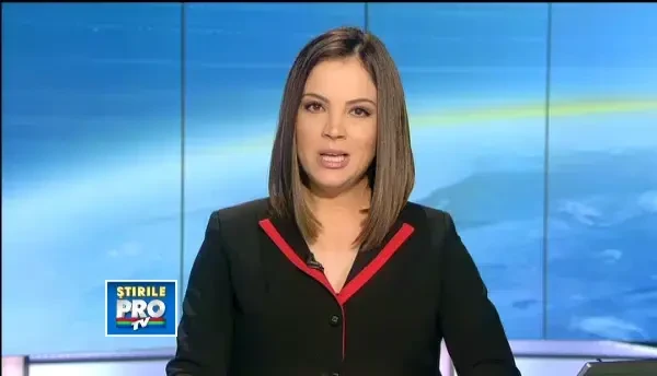 Bradul din Baia Mare, bandajat