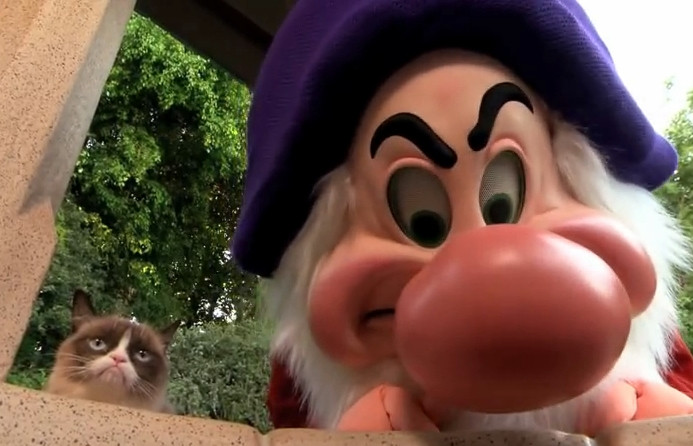 iLikeIT. Viralul saptamanii: Cea mai posomorata pisica, "grumpy cat", a ajuns la Disneyland