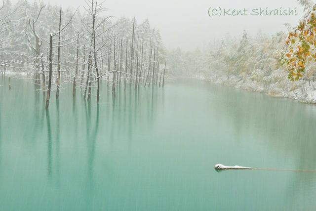 lac japonia