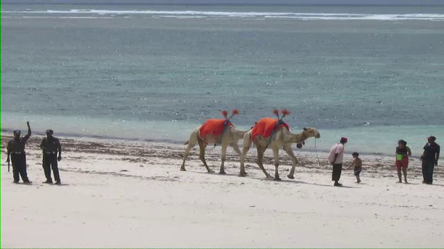 Cat te costa sa petreci sarbatorile in Dubai si Kenya. Pachetele de revelion, preferate de romani