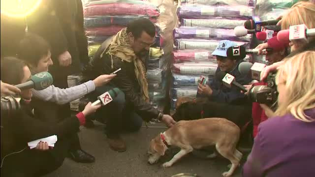 Stevan Seagal a adoptat un maidanez din Romania. Cum l-a ales pe "Grivei"