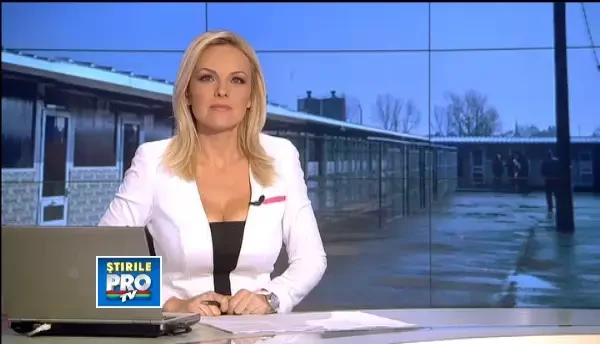 Stevan Seagal a adoptat un maidanez din Romania. Cum l-a ales pe