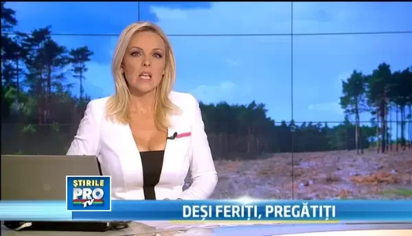 Sute de brazi taiati ilegal. Afacerile prin care comerciantii isi pacalesc clientii de sarbatori