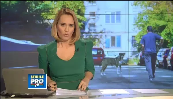 O femeie a fost muscata de un caine in zona in care a murit Ionut. Maidanezul, prins de hingheri