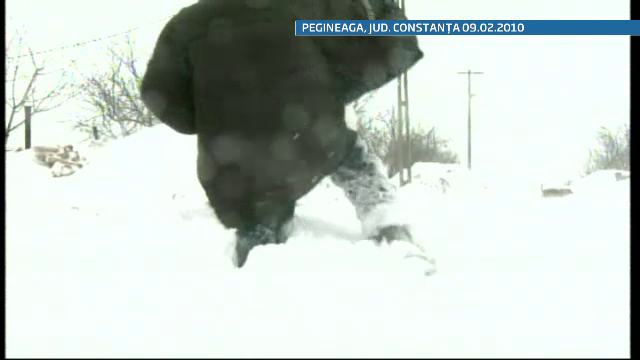 Planul autoritatilor romane si bulgare in caz de viscol si ninsori. Ce masuri vor lua cele doua tari