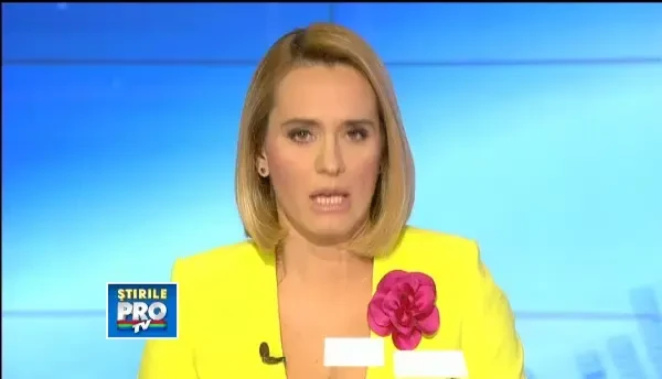 O saptamana pana la sentinta in cazul tablourilor furate. Cati ani risca cei doi inculpati