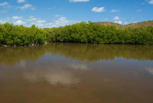 Misterul din Laguna Neagra: Cercetatorii sunt nedumeriti dupa ce apa s-a intunecat