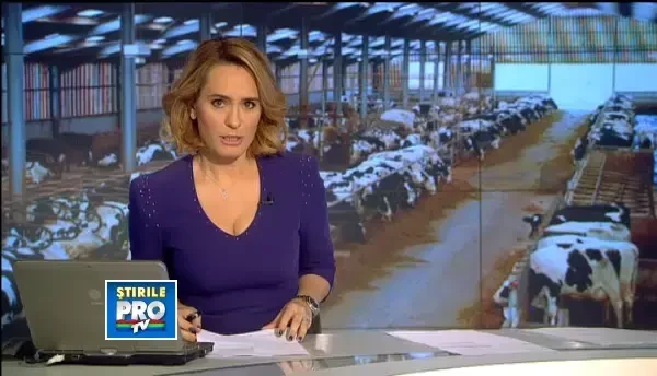 Veste buna pentru fermierii din Romania. China vrea sa cumpere anual carne de un mld. de euro