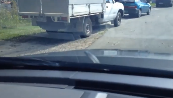 Un australian s-a trezit cu un sarpe pe parbriz in timp ce conducea. Cum a reactionat soferul. VIDEO