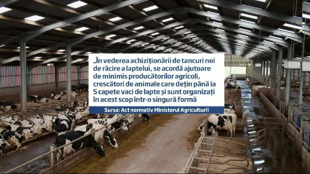 Conditiile pe care vor trebui sa le respecte fermierii care vand lapte, de la 1 ianuarie 2014