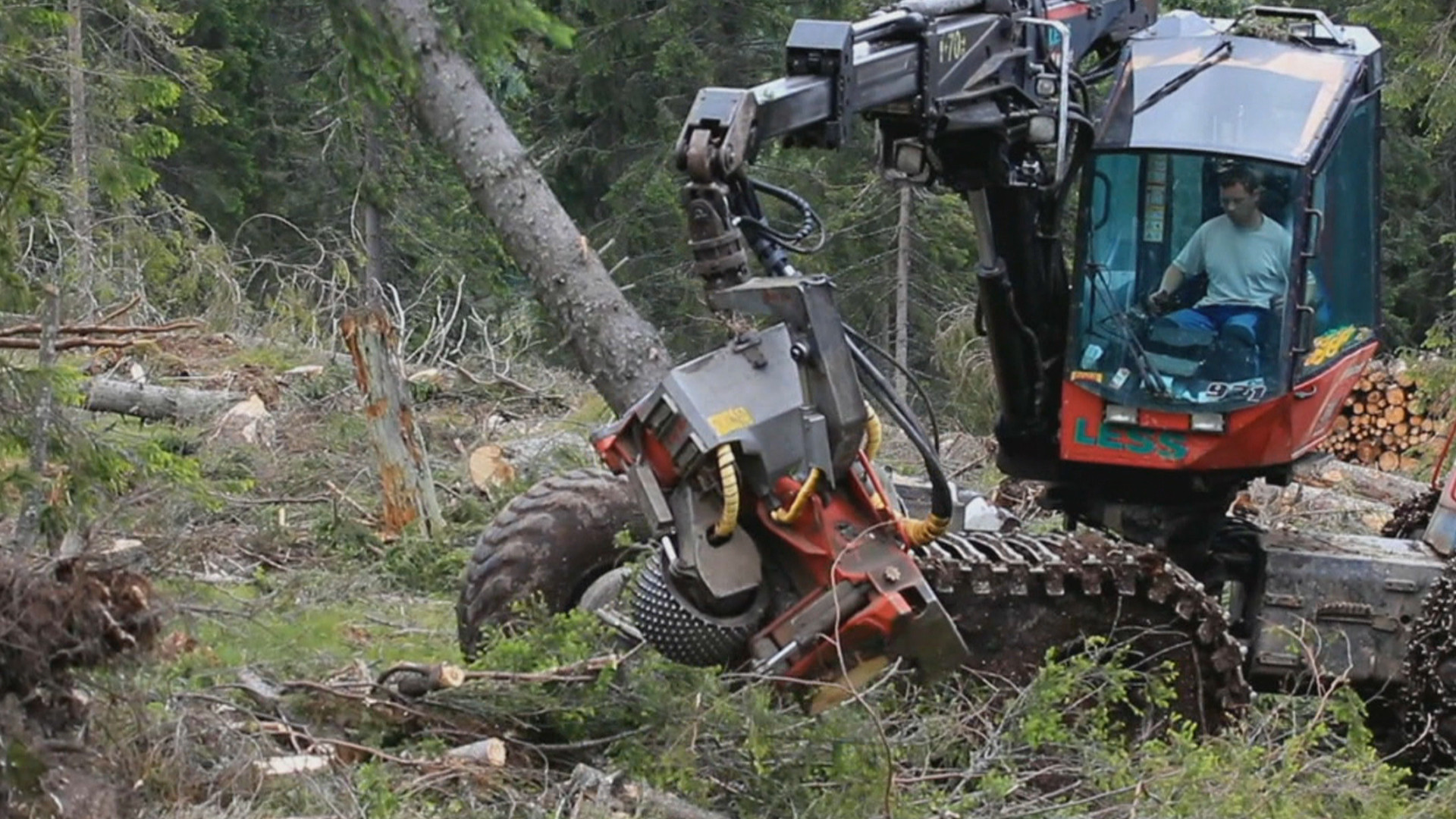 Marea defrisare - 13