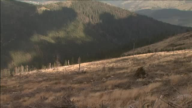 De ani de zile ne batem joc de padurile noastre. Iata noile dovezi ale dezastrului din Romania