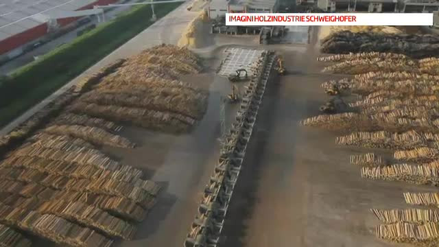 Metodele prin care Regia Nationala a Padurilor isi protejeaza angajatii corupti