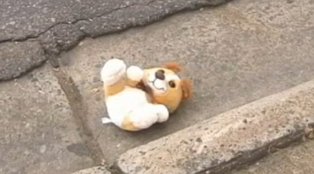 Ce a gasit un barbat care livra ziare in interiorul unui urs de plus pe care l-a gasit pe strada